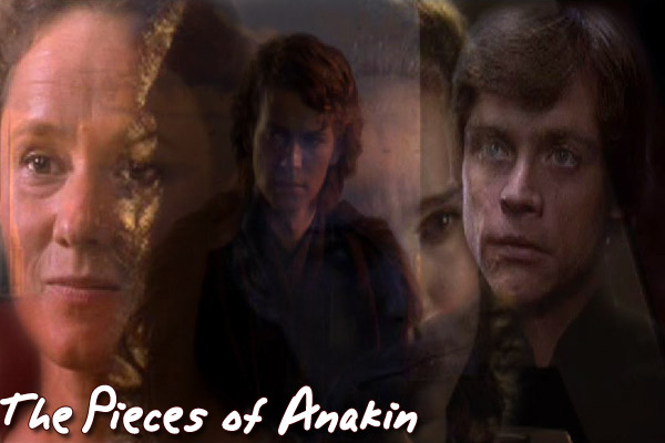 The Pieces of Anakin